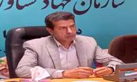 کرمان در دولت سیزدهم صادر کننده مرغ شد